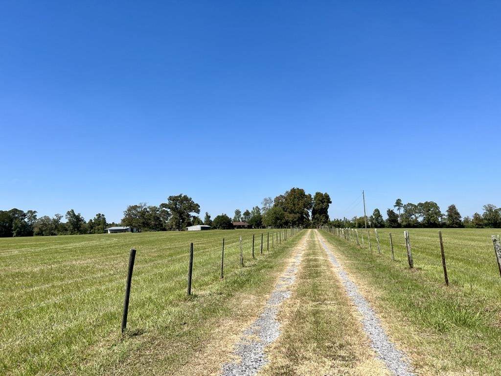 869 County Road 474 - Photo 1