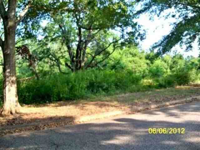 Klein Drive - Photo 1