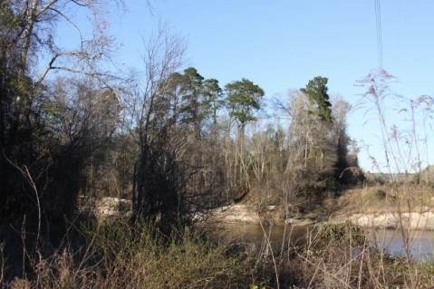 000 Co. Rd. 2145 - Photo 1
