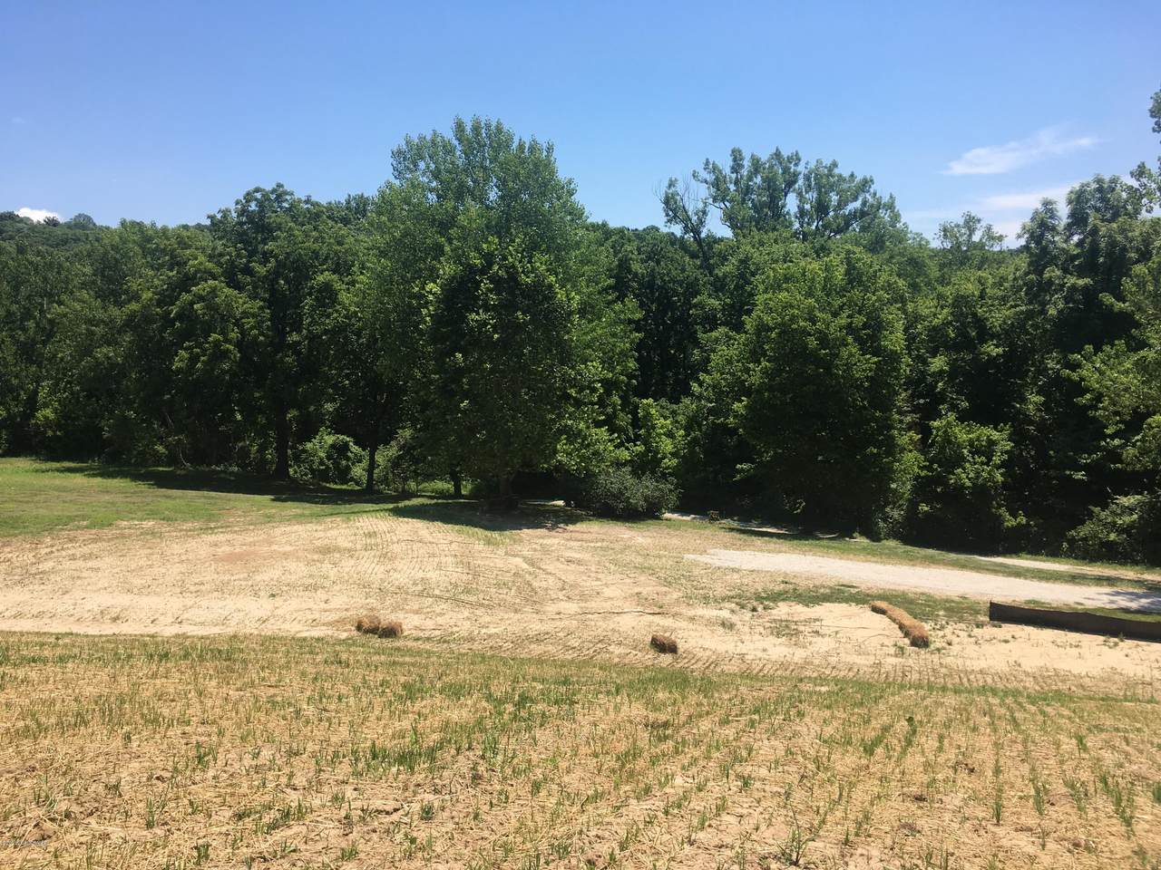 701 Cedar Tree Lane - Photo 1