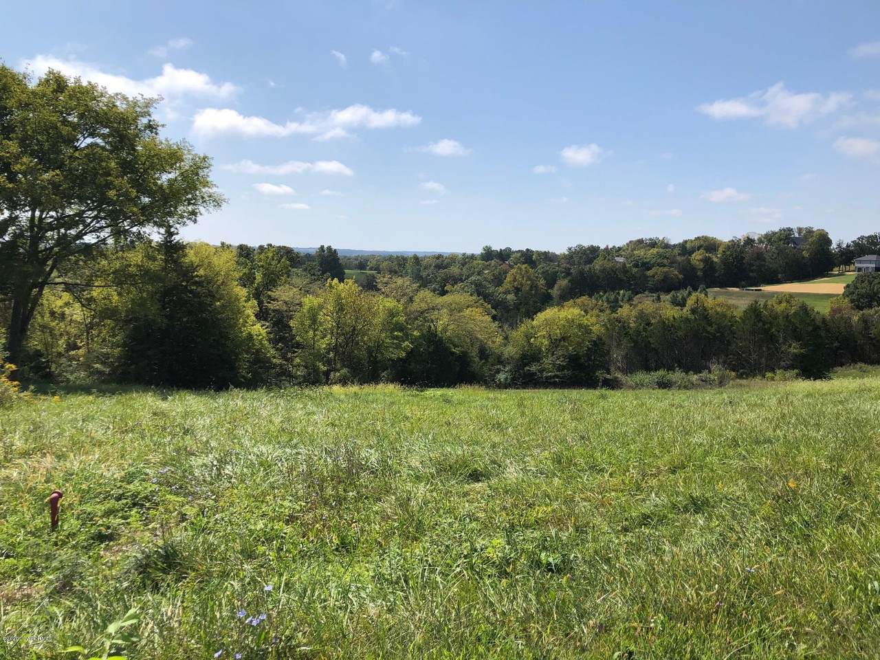 TBD Big Meadow Road - Photo 1
