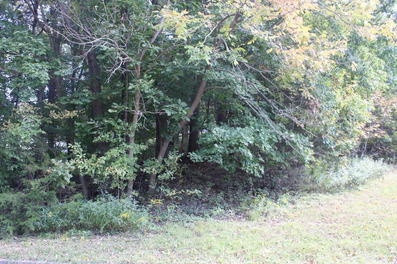 328 David Street - Photo 1