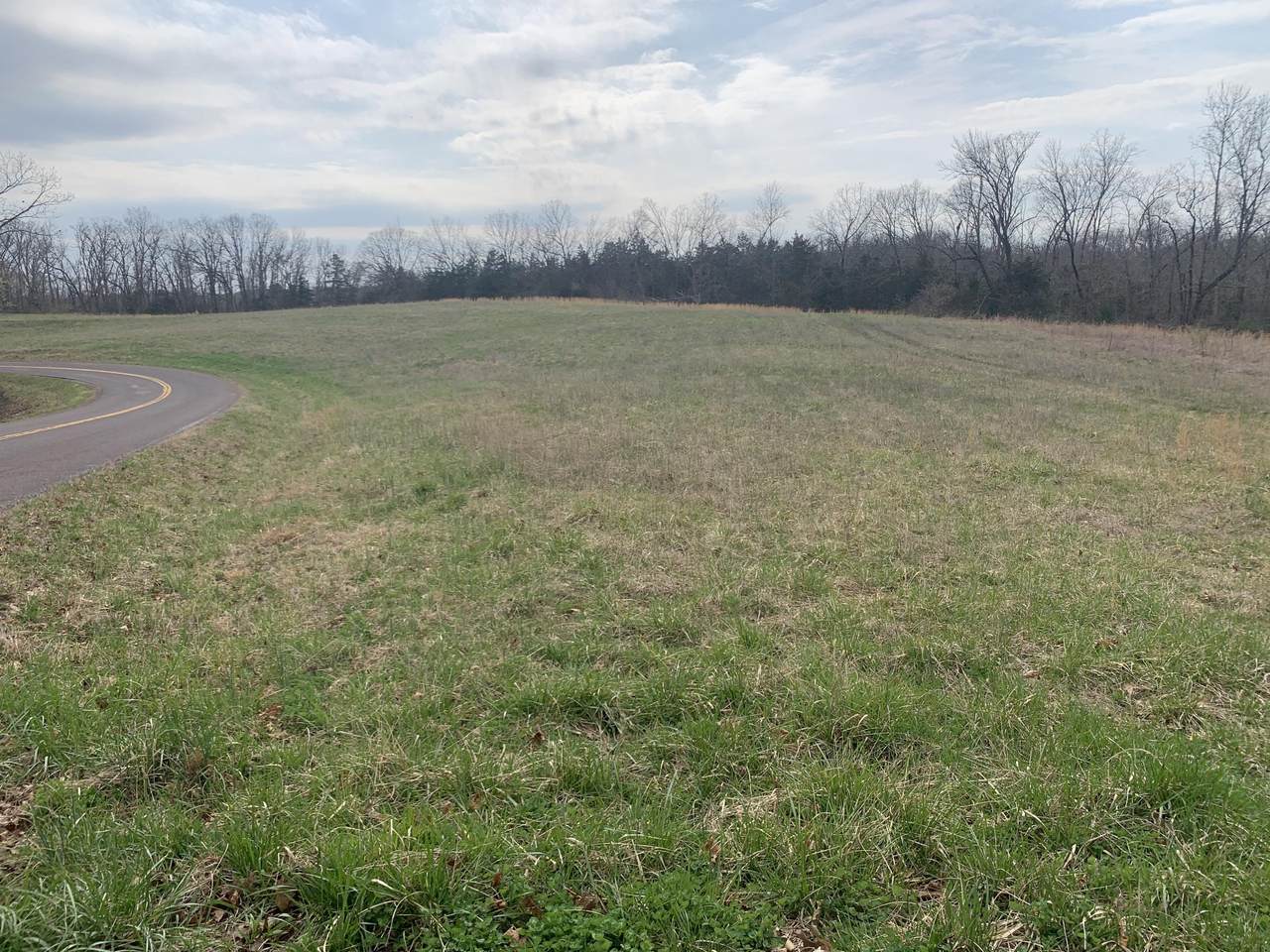 TBD Deer Run Road - Photo 1