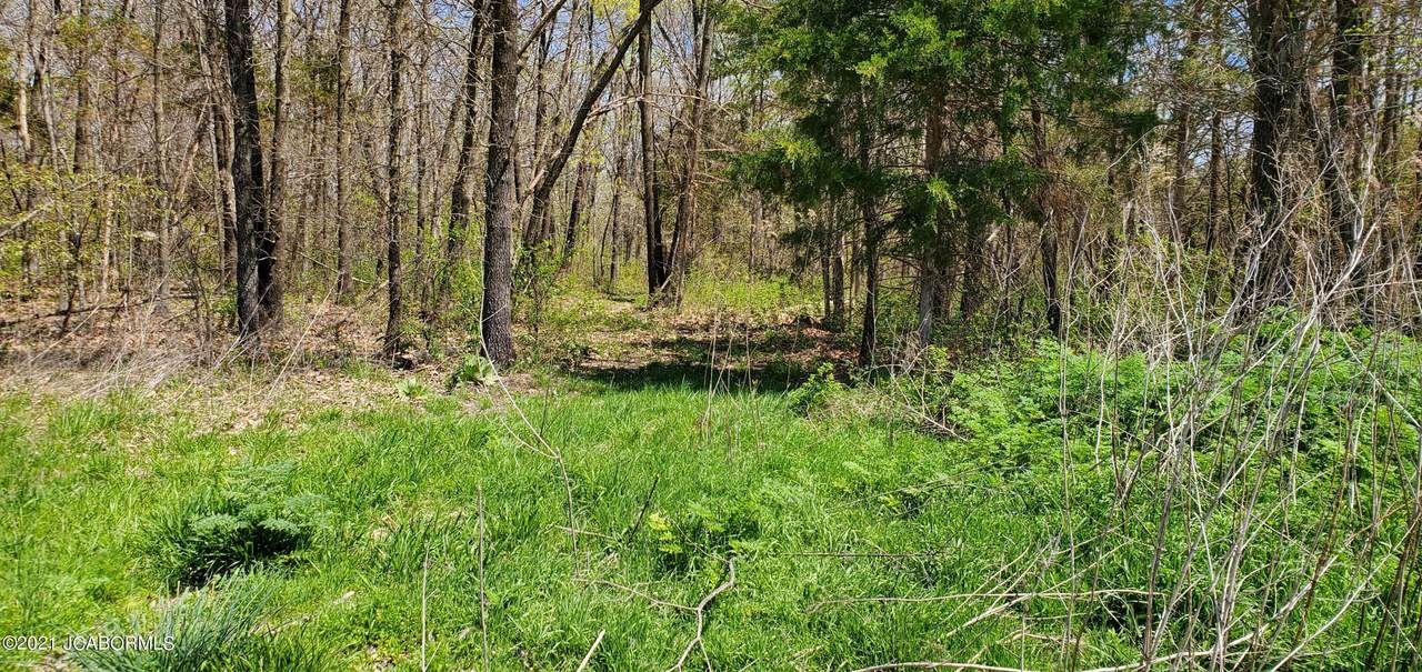 TBD Carney King Road - Photo 1