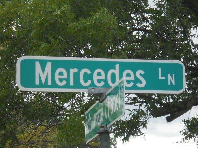 3046 Mercedes Lane - Photo 1