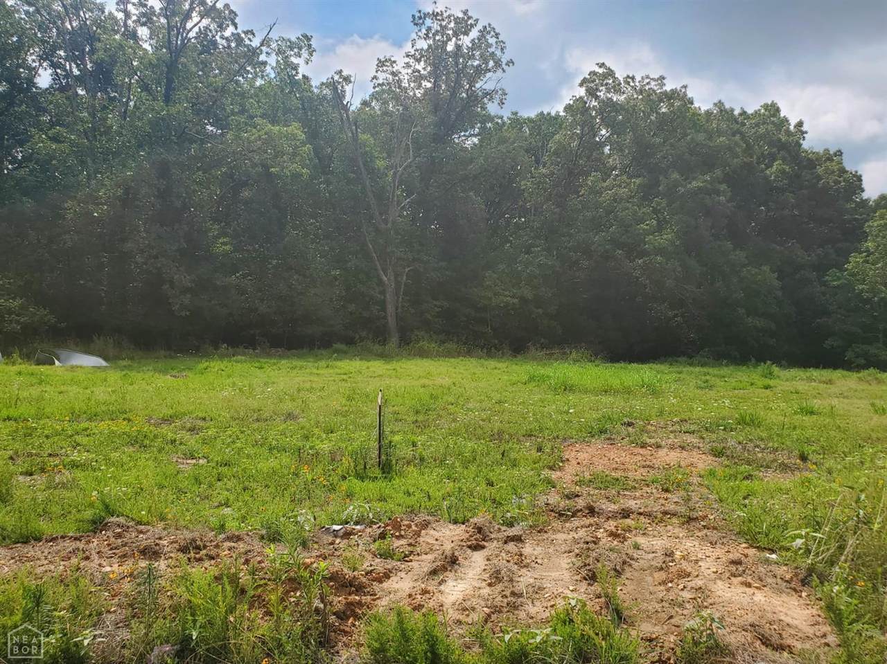 3025 Mallard Pointe Lane - Photo 1