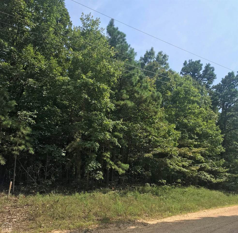 3345 Greene 721 Road - Photo 1