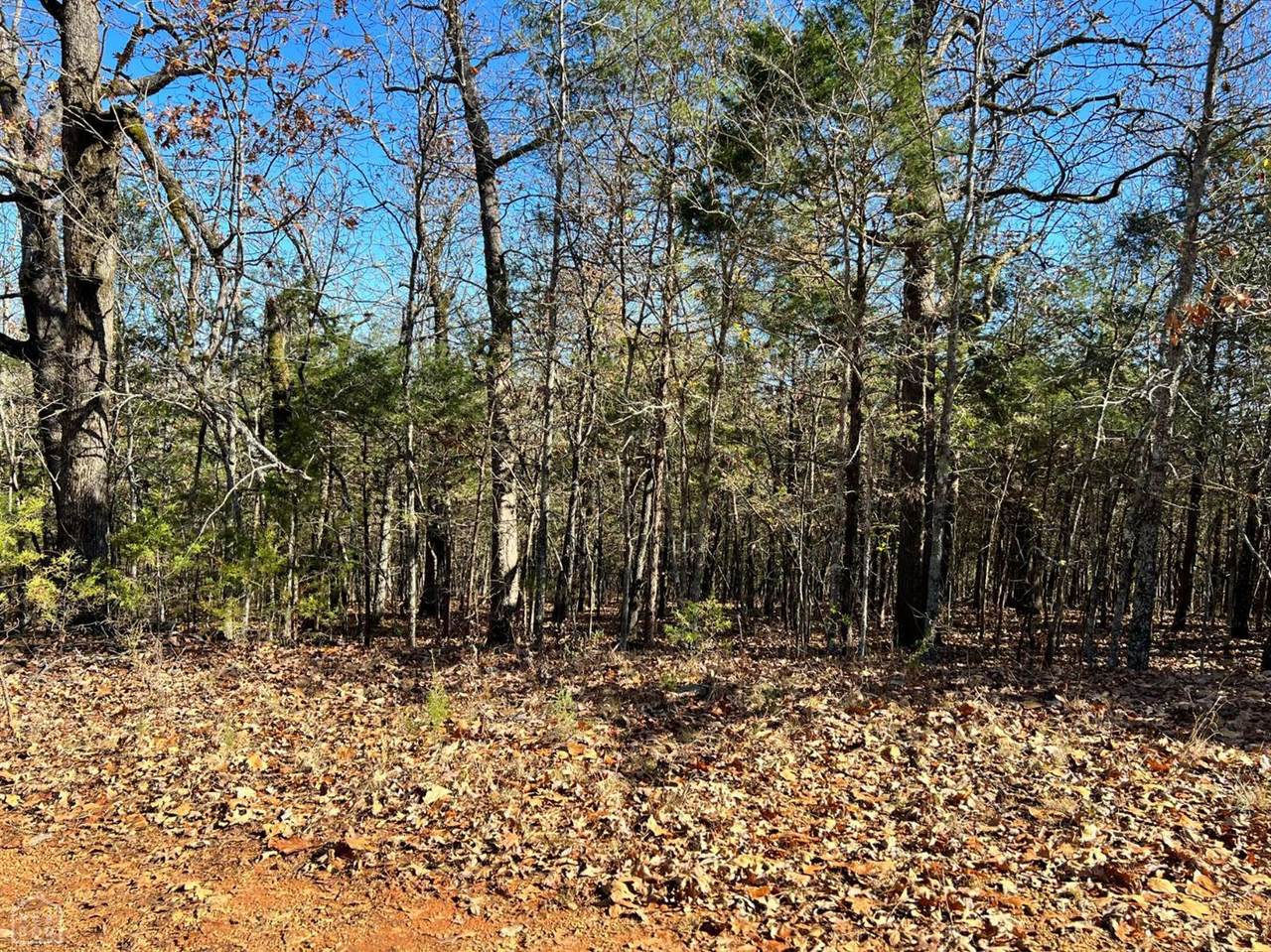 59 Buck Ridge Lane - Photo 1