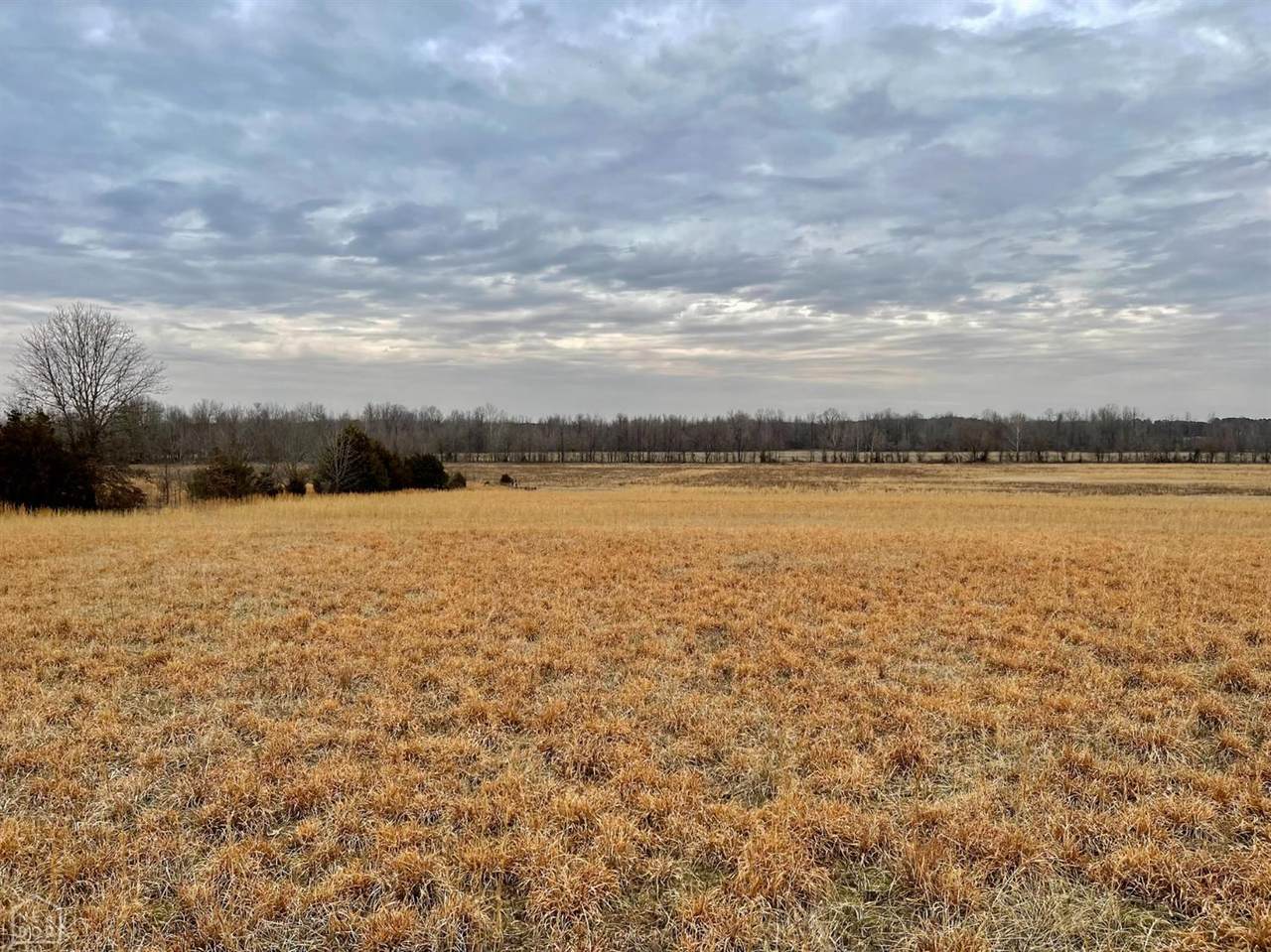 28-Acres Greene 519 Road - Photo 1