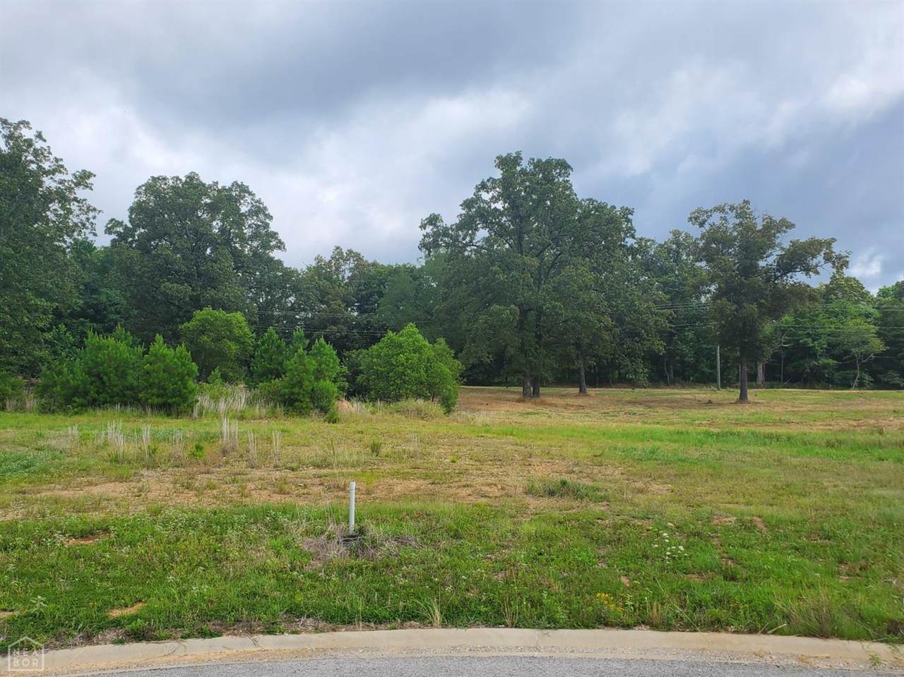 3025 Mallard Pointe Lane Lane - Photo 1