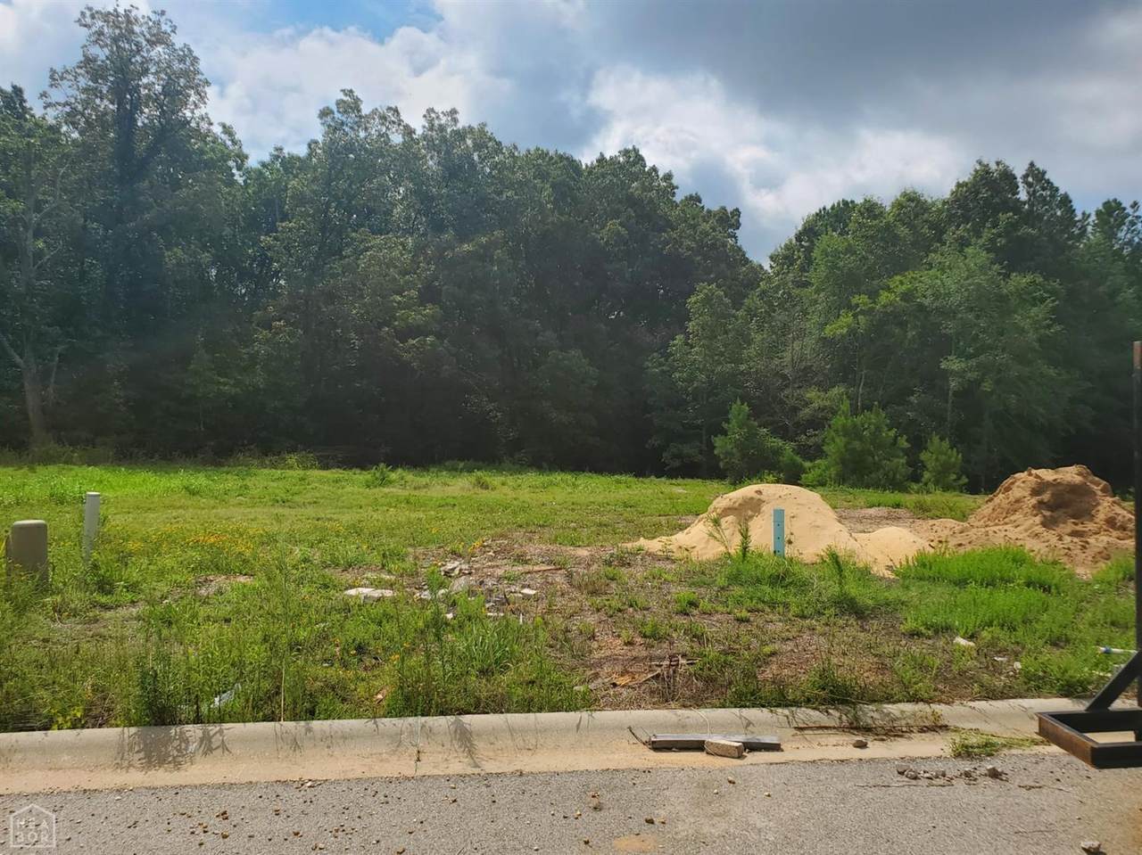 3101 Mallard Pointe Lane Lane - Photo 1