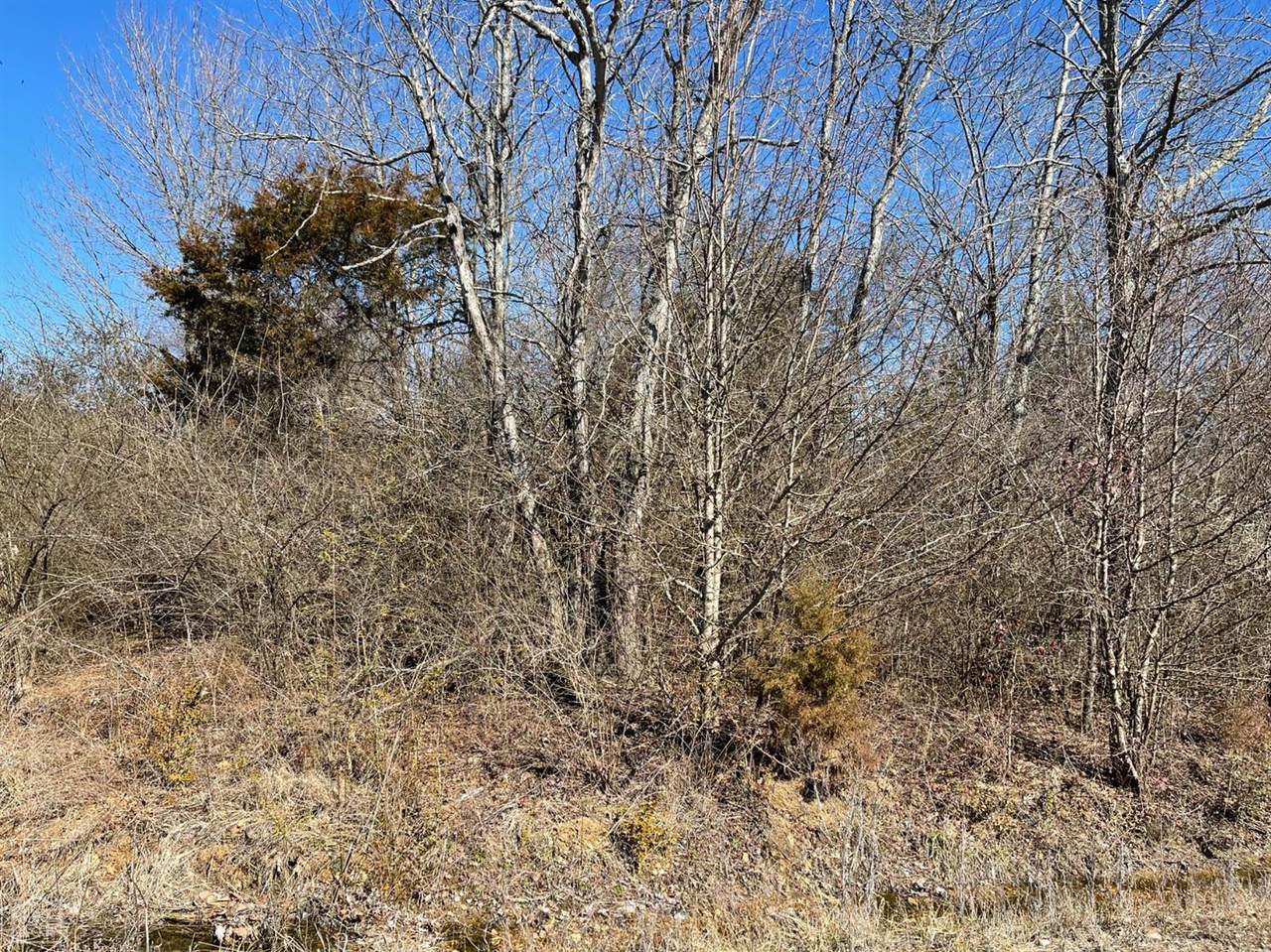 25 Green View Drive - Photo 1