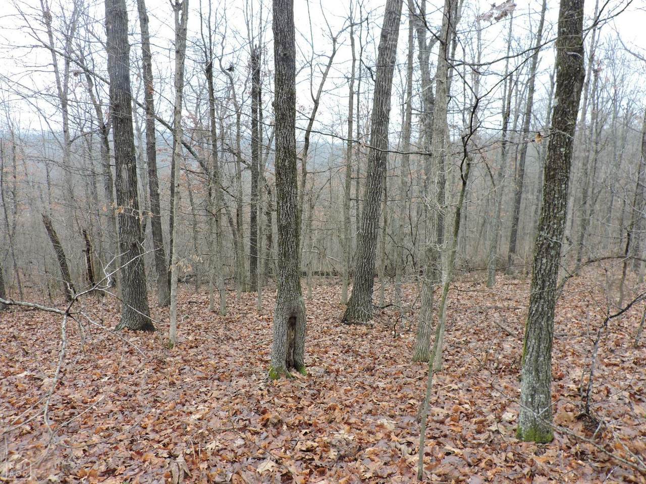 85 Baker Den Rd - Photo 1