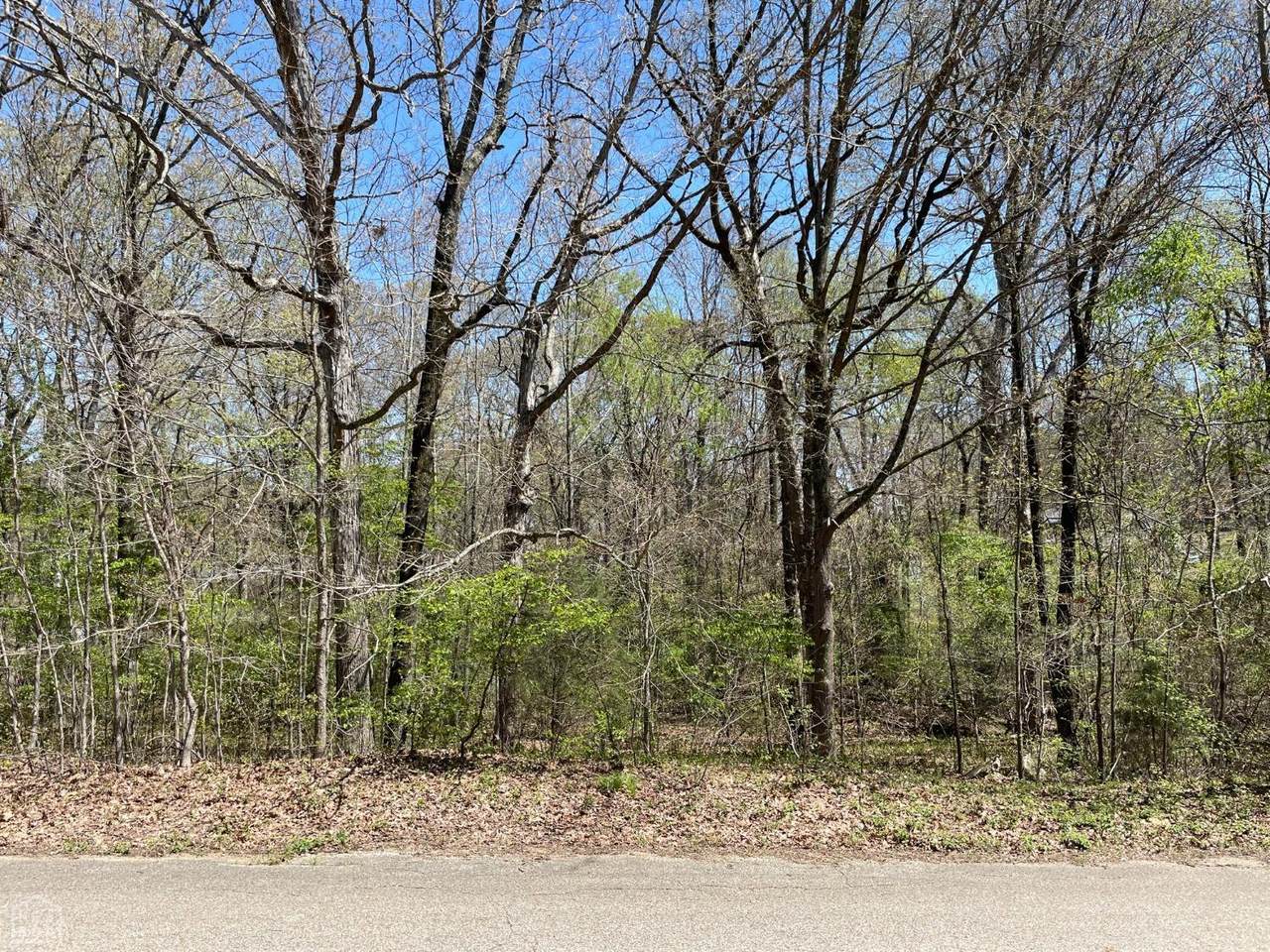 4008 Mardis Wood Drive - Photo 1