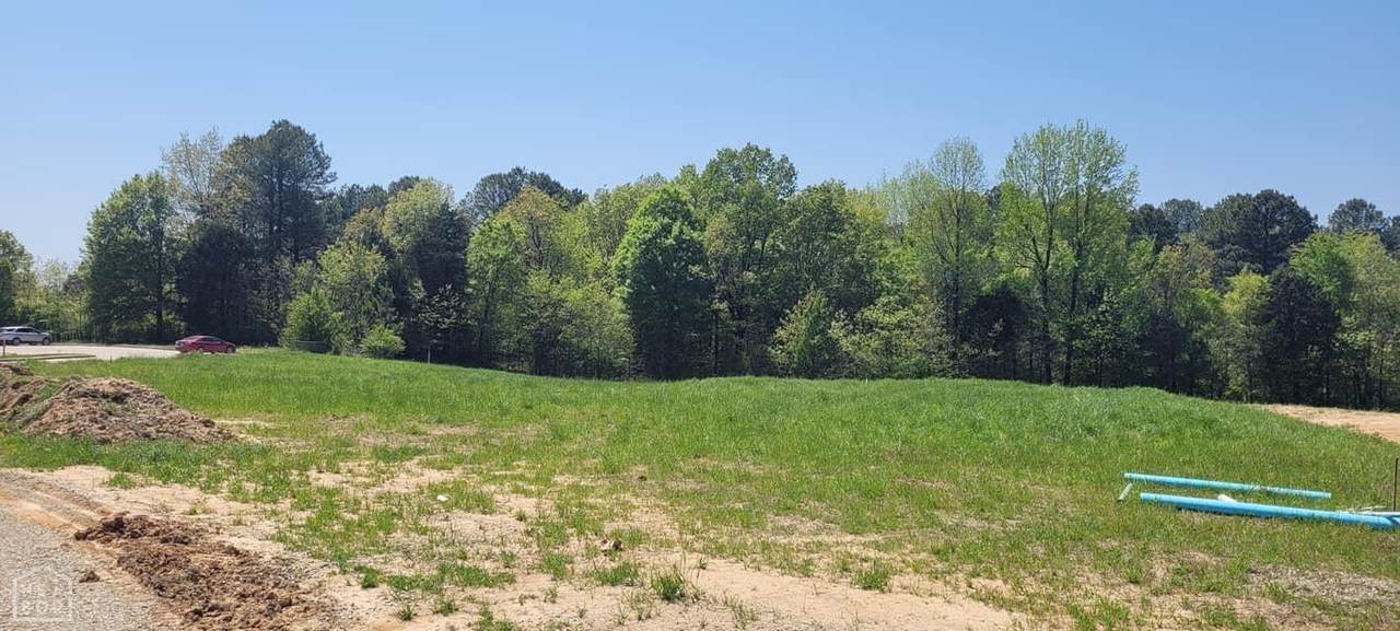 2406-lot 2 Linwood Drive - Photo 1