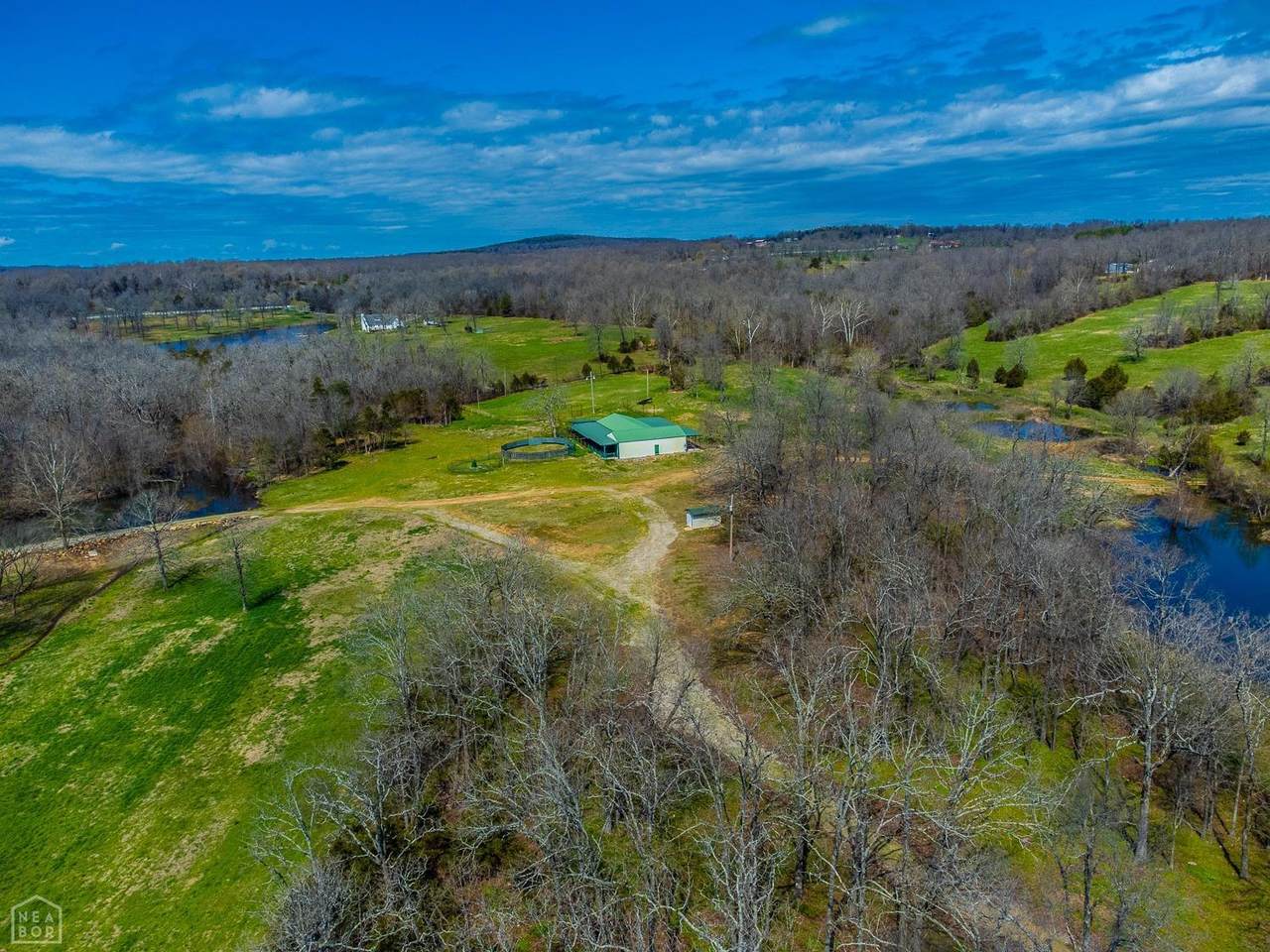 132 Acres Black Gold Trail - Photo 1