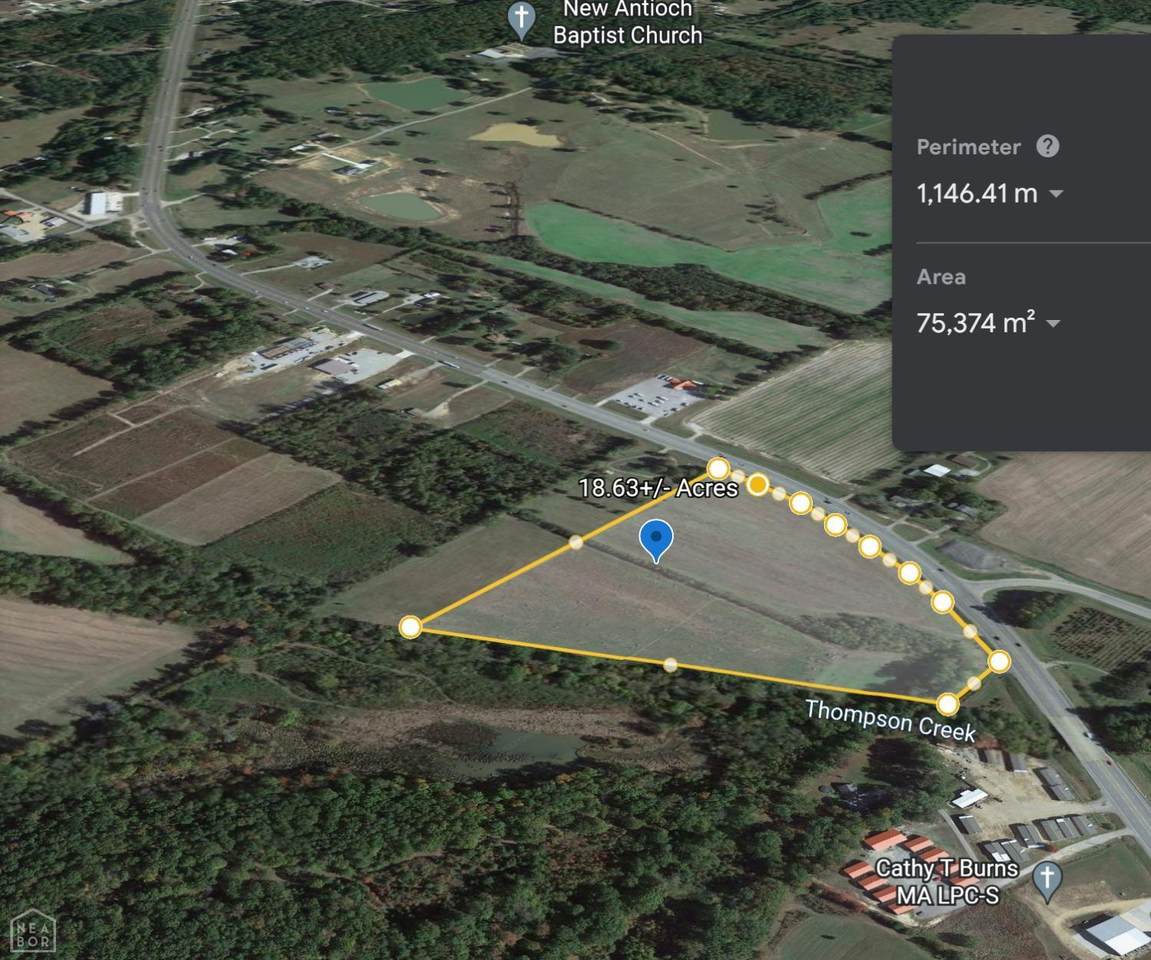 19-acres Hwy 49 N - Photo 1