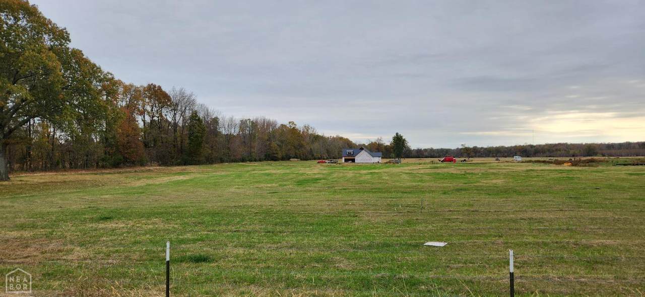 2 County Road 762 - Photo 1