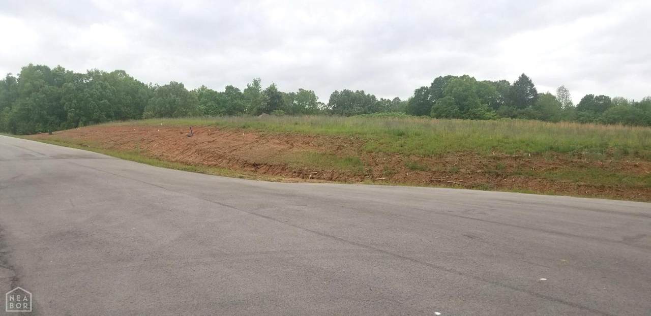30-Lot 30 Antler Ridge Sub - Photo 1