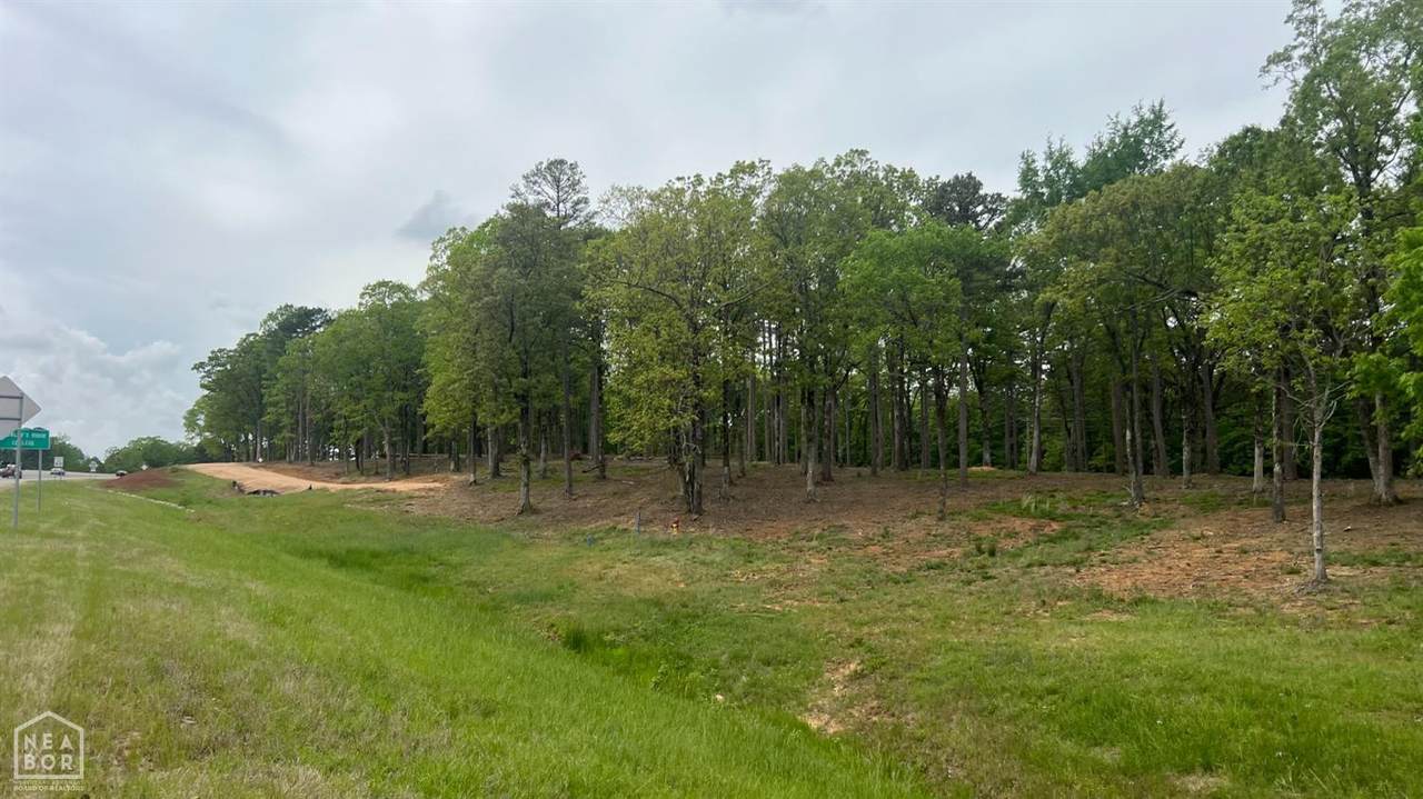 1-Tract Hwy 412 W - Photo 1