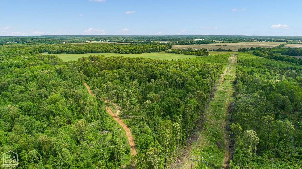80-acres Cr 114 - Photo 1
