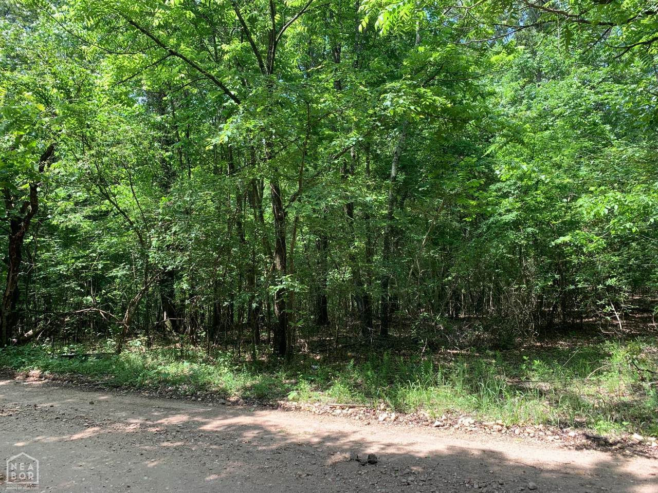 10-Acres County Road 331 - Photo 1