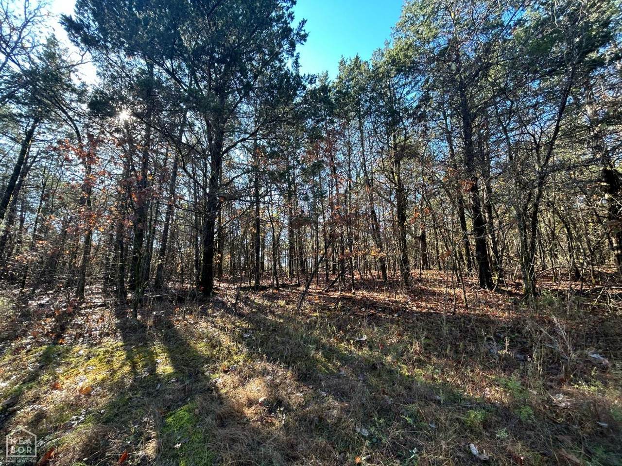 20 Acres Persimmon Point Road - Photo 1
