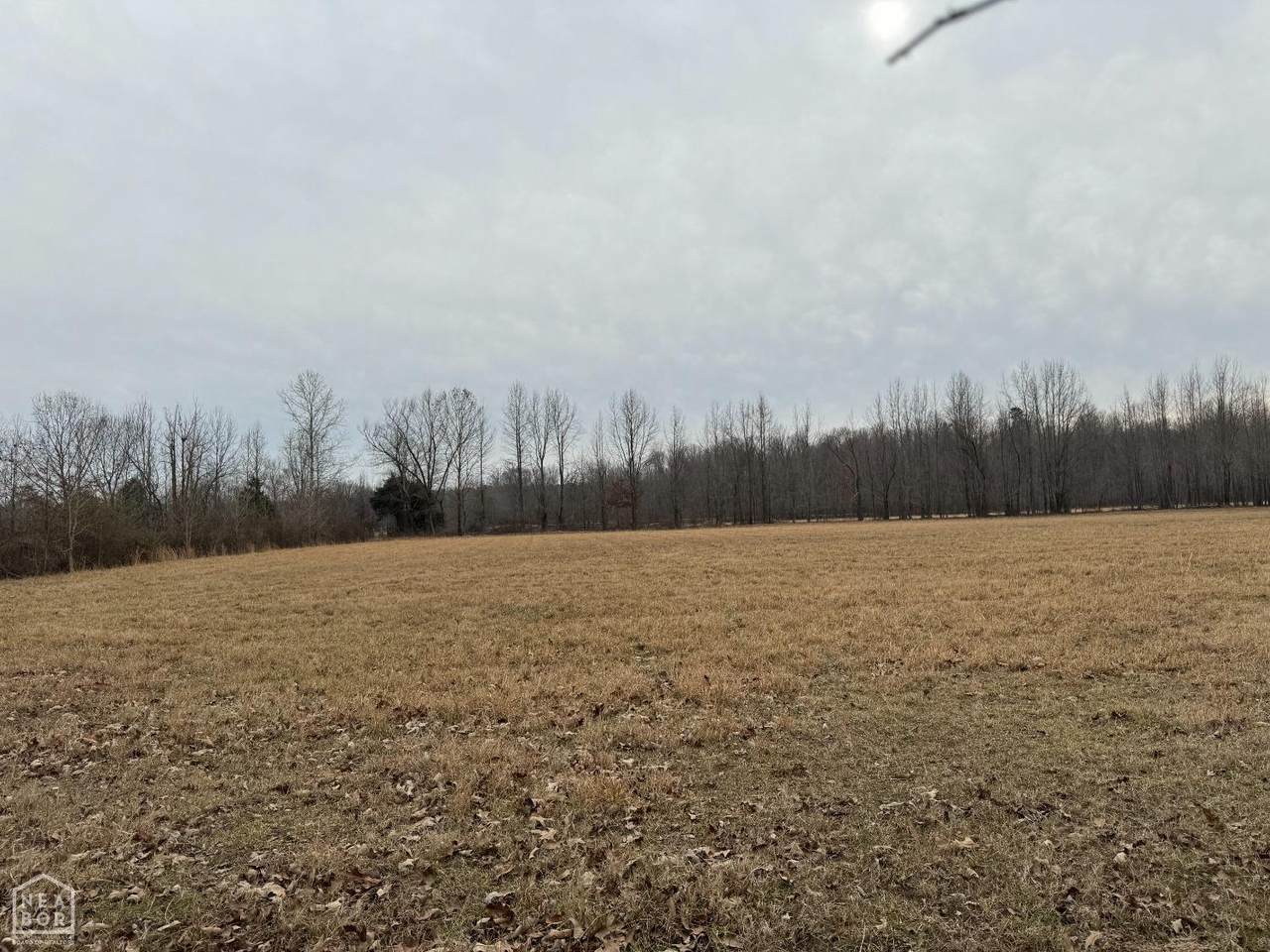 0-0 Greene 611 Road - Photo 1