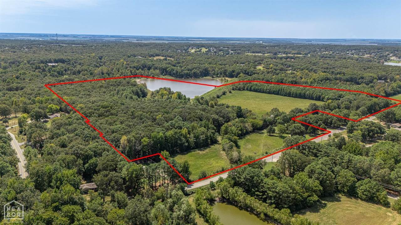 66-Acres Casey Springs Road - Photo 1