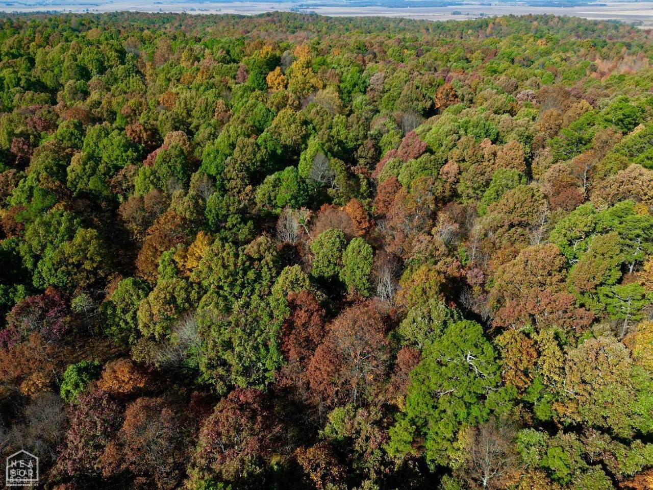 1 000 Greene 125 Road - Photo 1