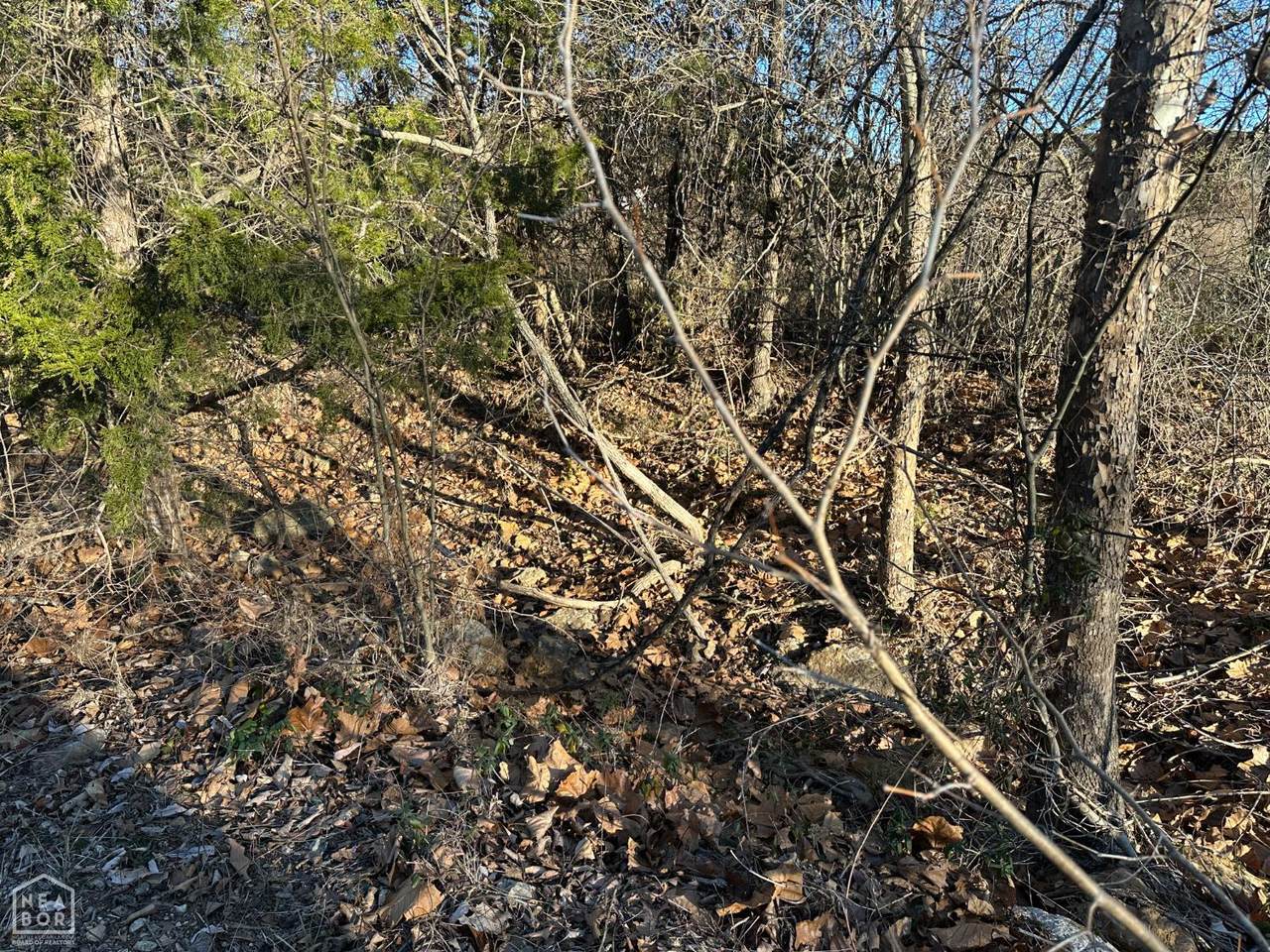 1739 Cr 54 - Photo 1