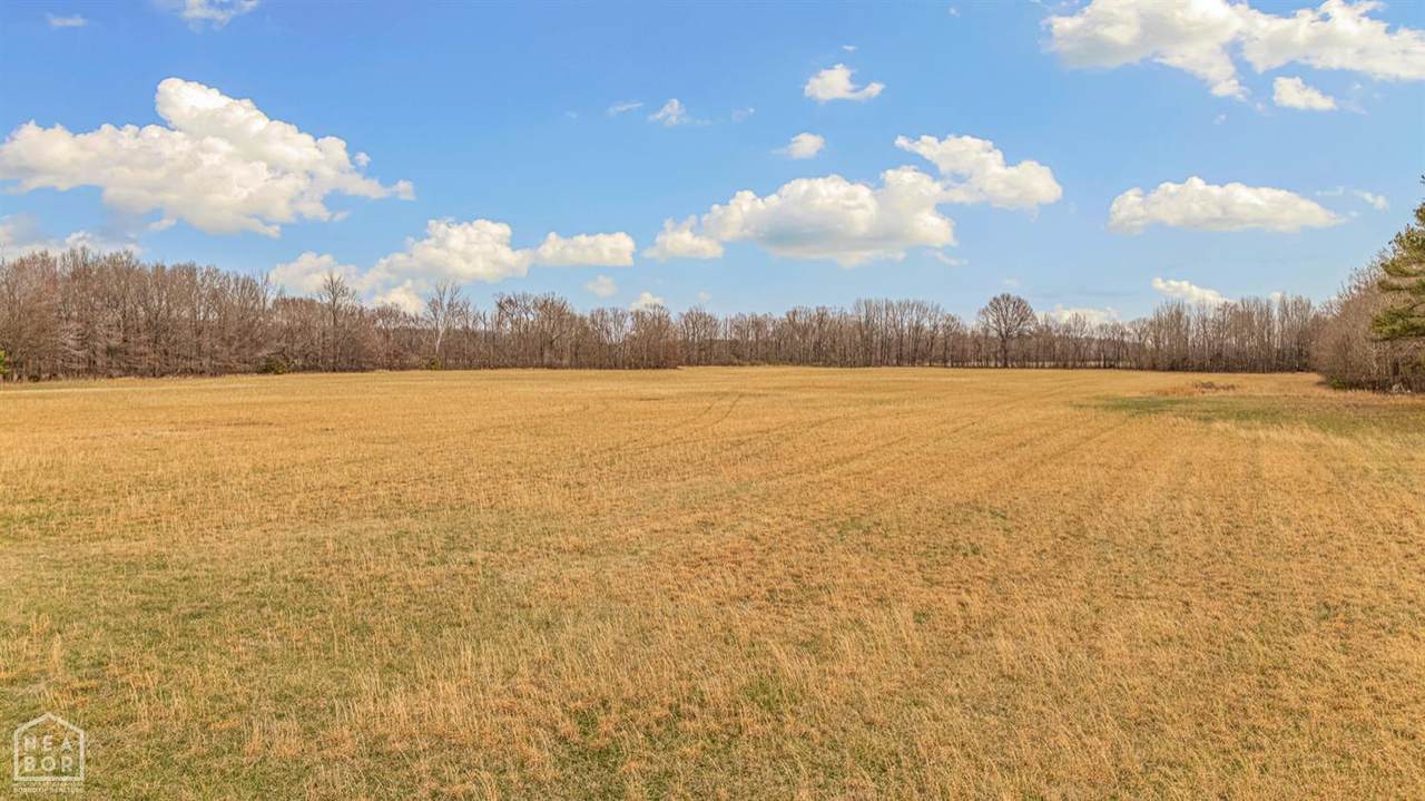 2174 Greene 514 Road - Photo 1