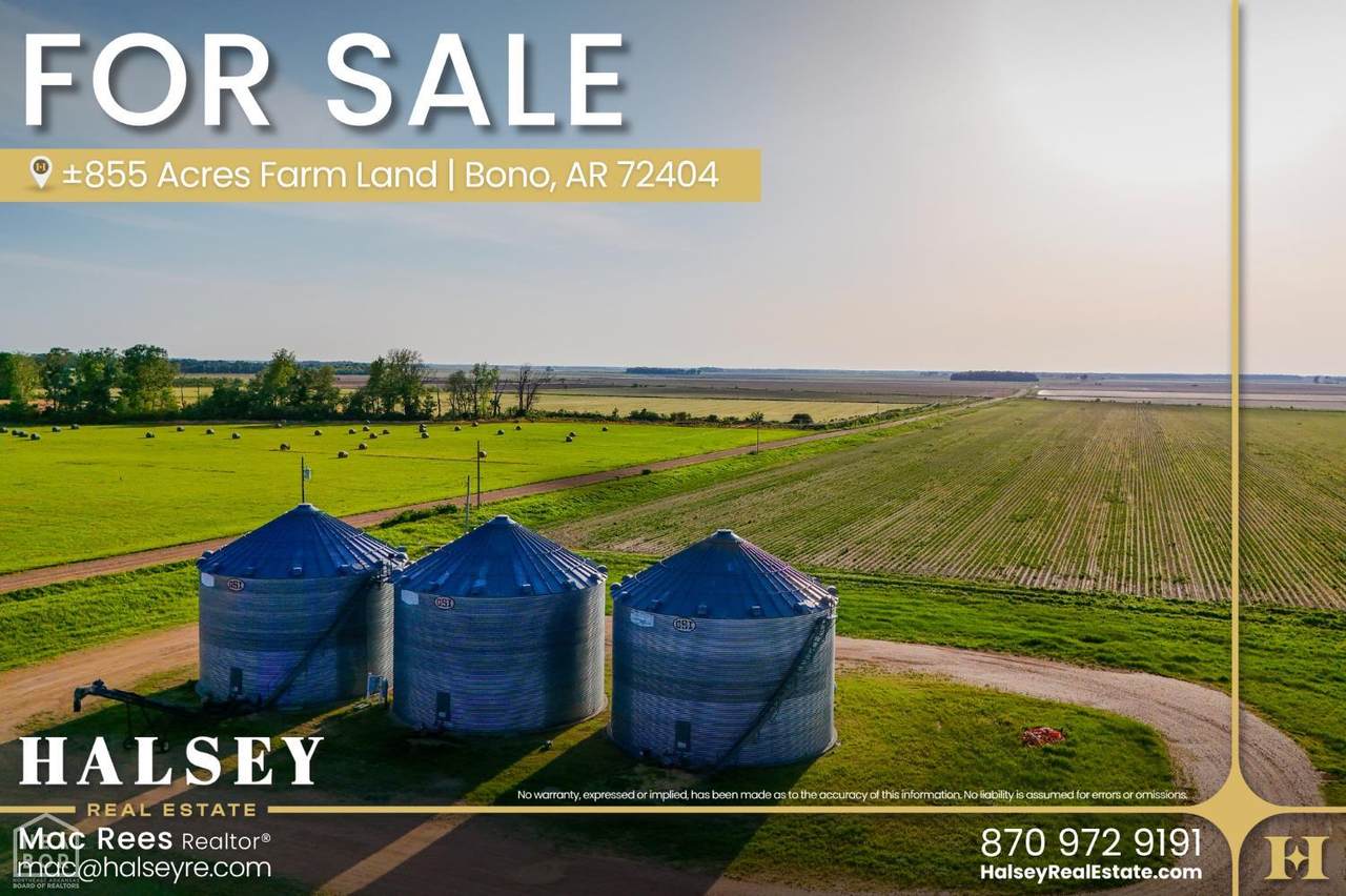 855 Acres in Bono, Ar - Photo 1