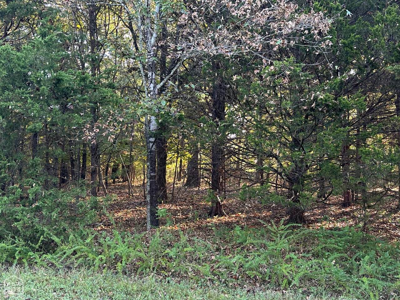https://bt-photos.global.ssl.fastly.net/jonesboro/1280_boomver_1_10129342-2.jpg