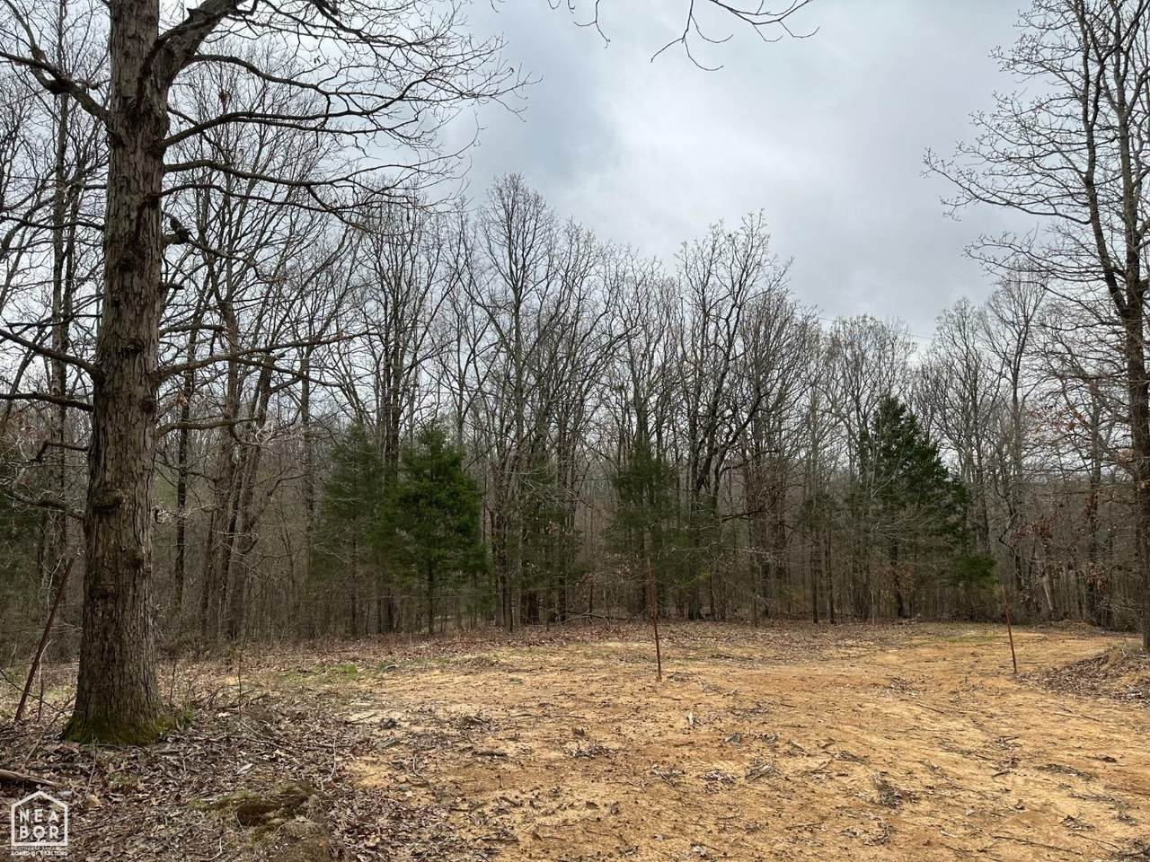 0-Lot 5 Raby Rd - Photo 1