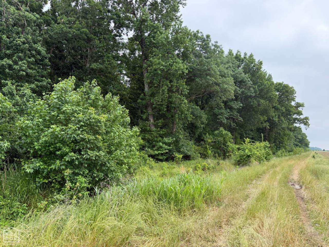https://bt-photos.global.ssl.fastly.net/jonesboro/1280_boomver_1_10130003-2.jpg