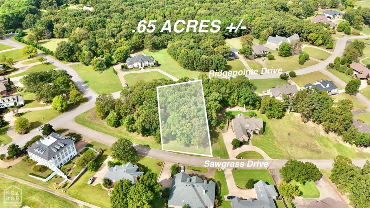 1 Acres in Ridgepointe - Photo 1