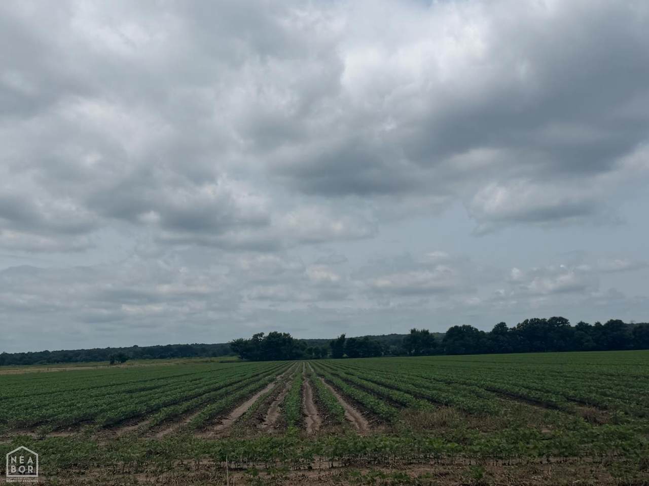 78-Acres Pineview Rd/Benson Ln - Photo 1