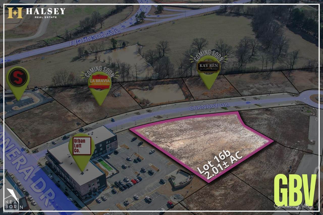 16-B Lot 16B Carnaby Street - Photo 1