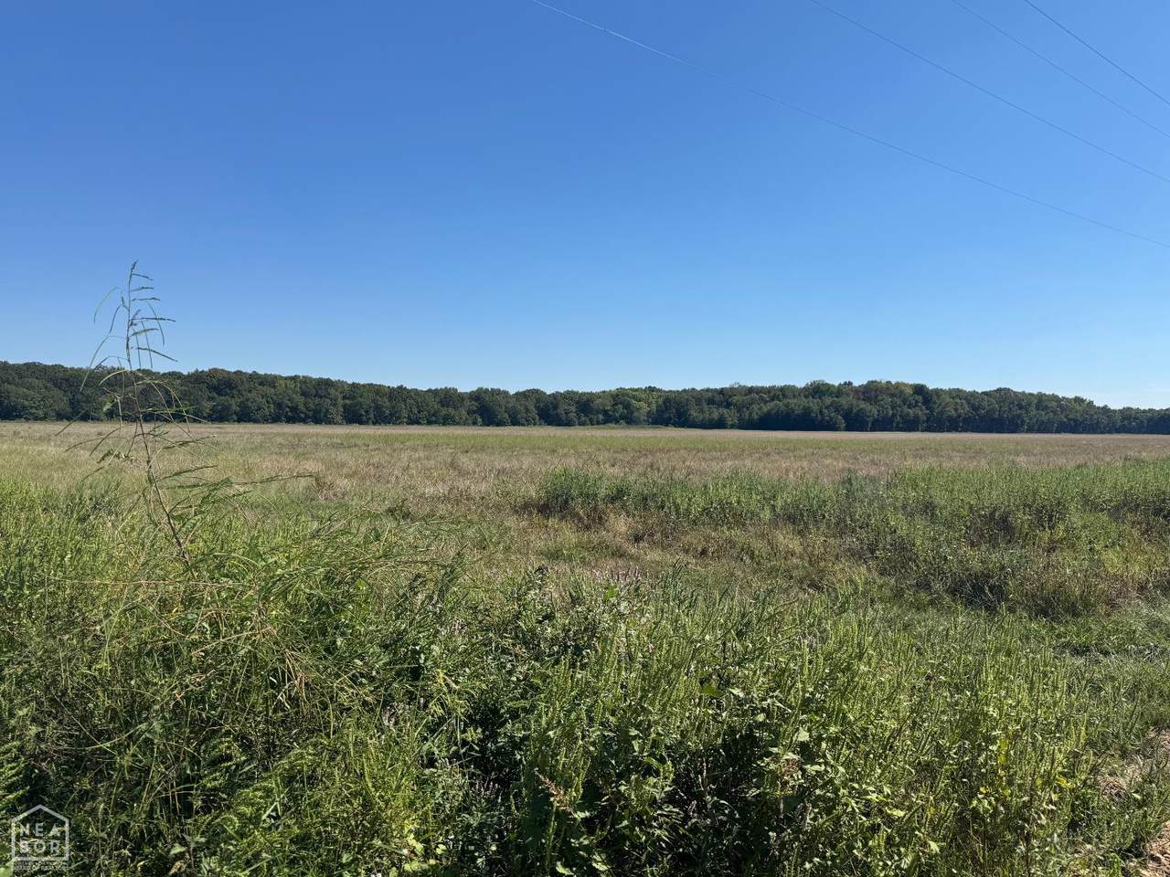 619-acres Flag Slough Lane - Photo 1