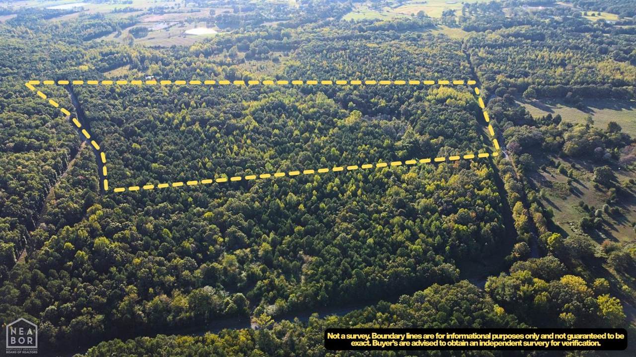 51 Shelton Road - Photo 1