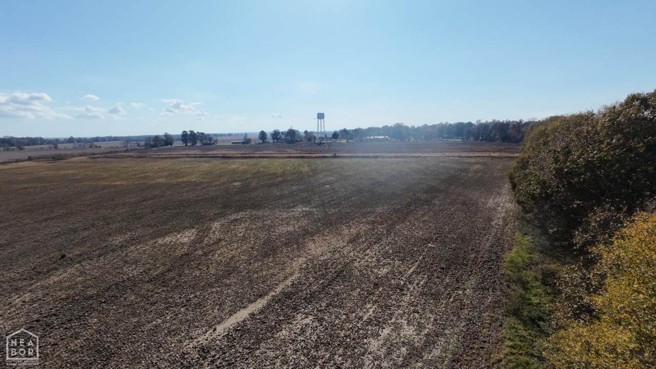 1262 Main Street - Photo 1