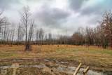0-Lot 3 Diamond Valley Estates - Photo 3