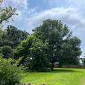 619 Clement Lane - Photo 4