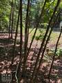 12 Castano (Lot 12) Lane - Photo 10