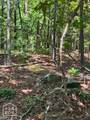 12 Castano (Lot 12) Lane - Photo 5