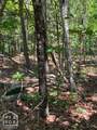12 Castano (Lot 12) Lane - Photo 6