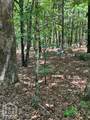12 Castano (Lot 12) Lane - Photo 8
