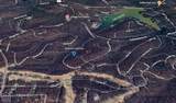 10 Potlatch - Photo 4