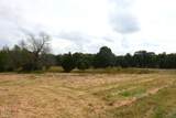 60-Acres Law 216 - Photo 12